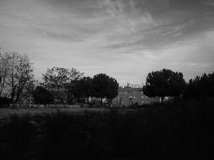 IMG_20141208_143843