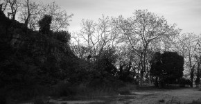 IMG_20141208_143856