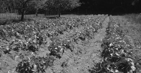 DSC05604-(2)